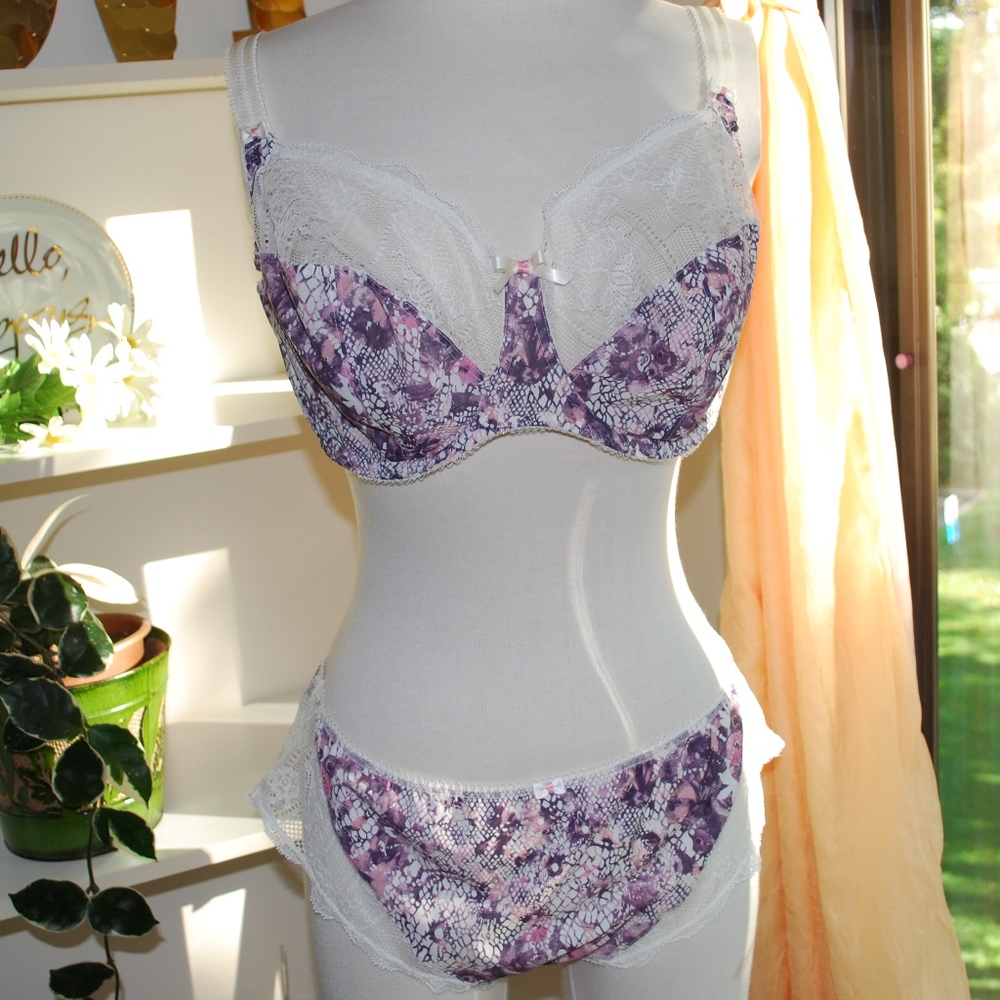 NWOT Fantasie Pink/Purple Lisbeth Bra Set 38F